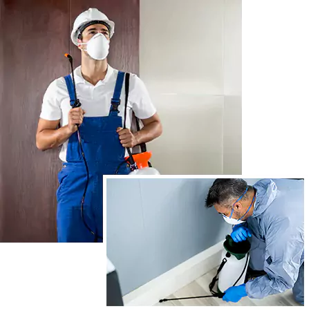 All Day Pest Control