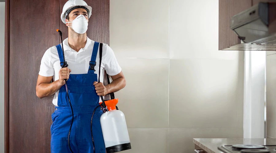 Comprehensive Guide to Pest Control Services for Every Homeowner