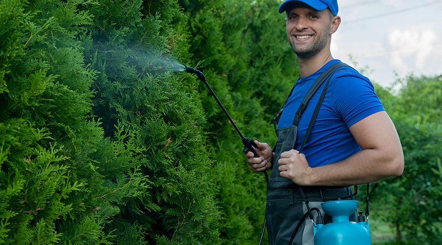 How to Choose the Right Pest Control Service