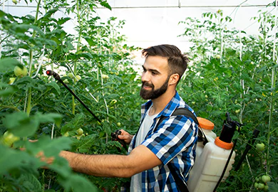 Pest Control Services: Protecting Your Home and Health